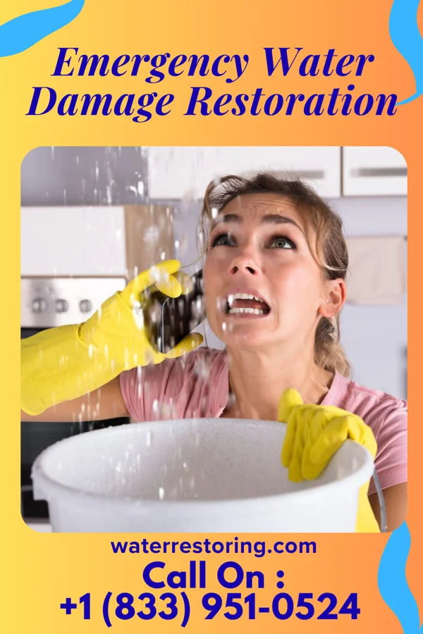 Emergency Water Damage Restoration in Woodville, GA